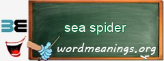 WordMeaning blackboard for sea spider